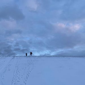 Meet your Posher, Holly